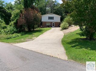 111 Smith Rucker Rd, Martinsville, VA 24112