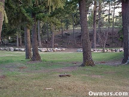 Up close picture of front yard