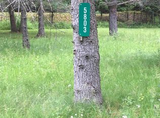 Spear Trl, Grayling, MI 49738