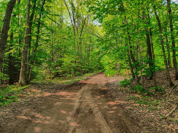 V/l Tower Rd, Mc Millan, MI 49853