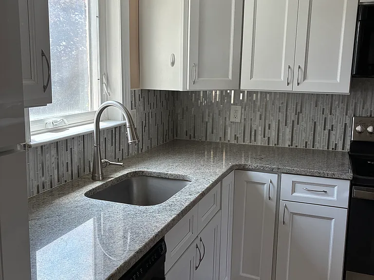 Dishwasher and stainless steel sink