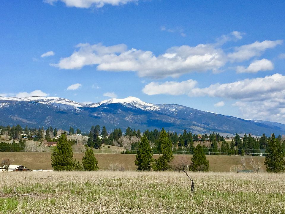 At property ridge--NW view