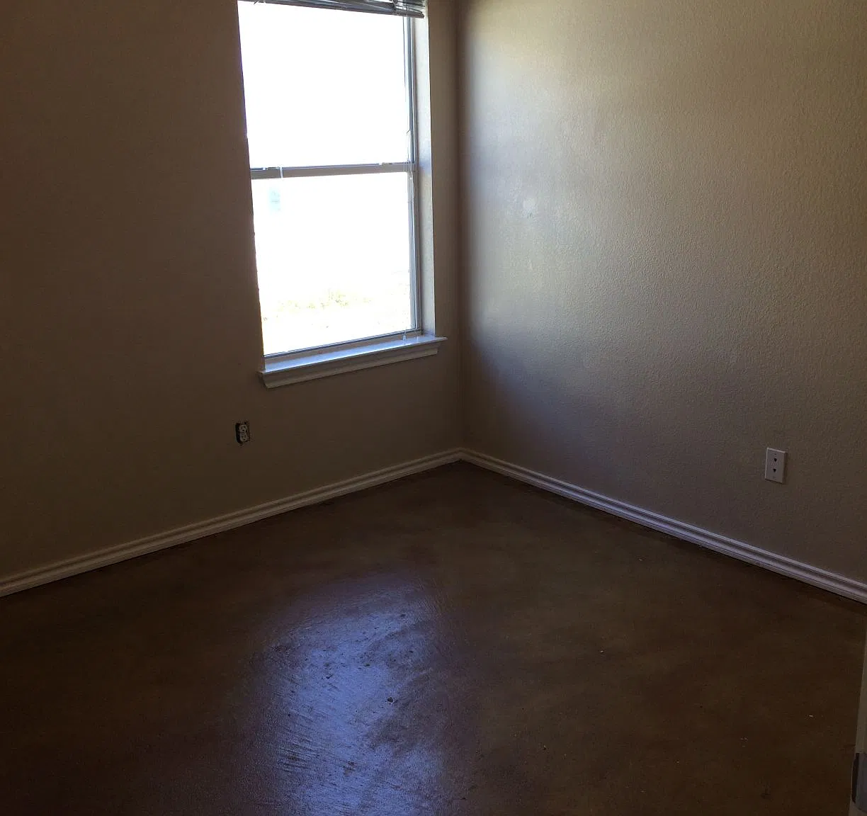 11501 Hereford St, Manor, TX 78653 - 1 — Photo 4