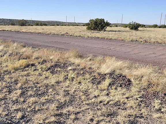 5th image of 8Z Concho Creek Dr
