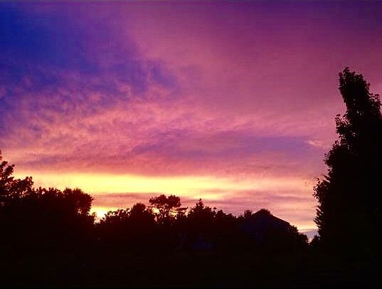 Backyard sunset view