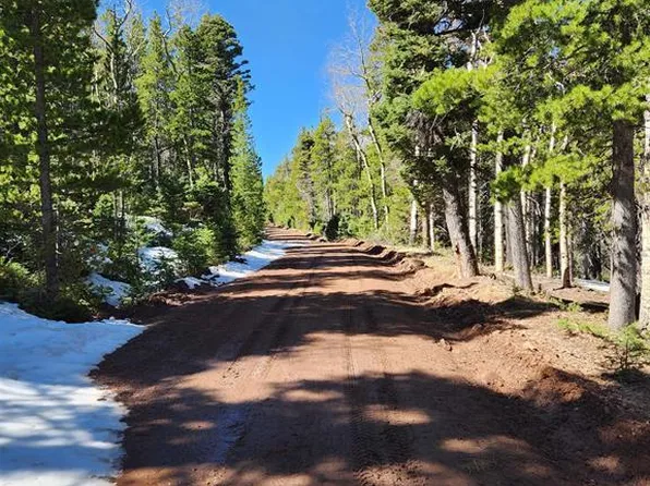 00 Special Place, Fort  Garland, CO 81133