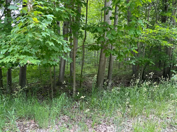 E Maple St, Ludington, MI 49431