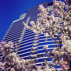 335 Bridge St NW APT 2503, Grand Rapids, MI, 49504