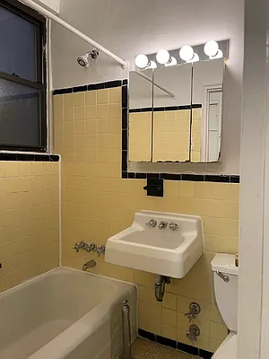 Rented by Eric Goodman Realty Corp | media 9