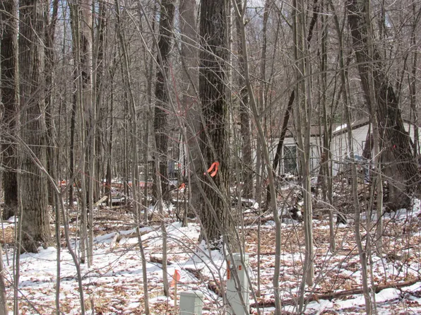 LOT 62 Maplewood Dr, Roscommon, MI 48653