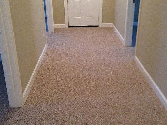 New Carpet and Paint
