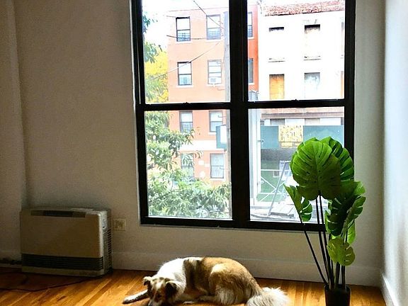 4th image of 101 Jefferson Ave #1K