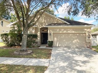 115 Montara Dr, Seffner, FL 33584