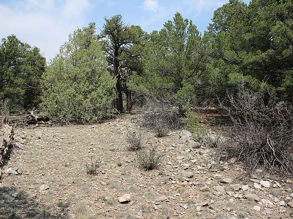 5th image of 20th Trail