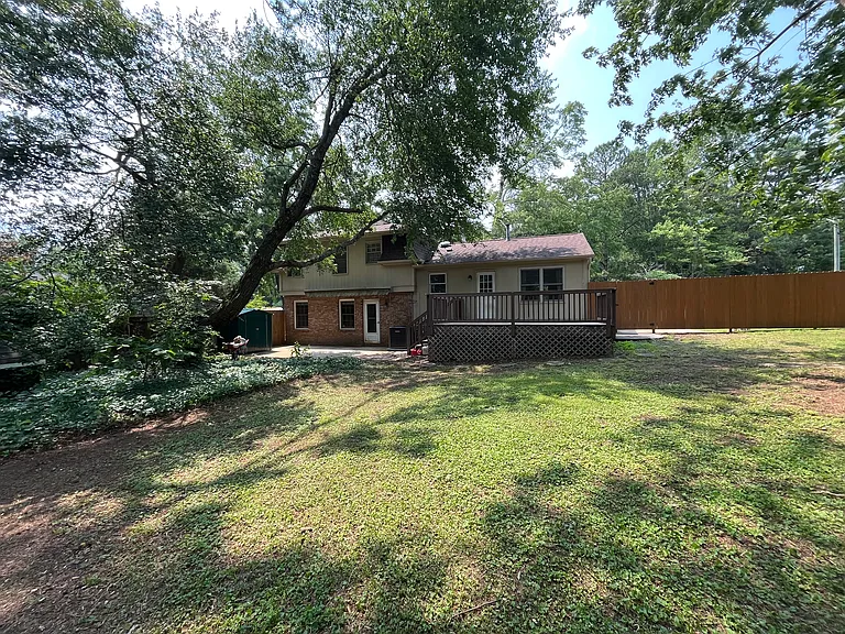 Backyard - fully fenced