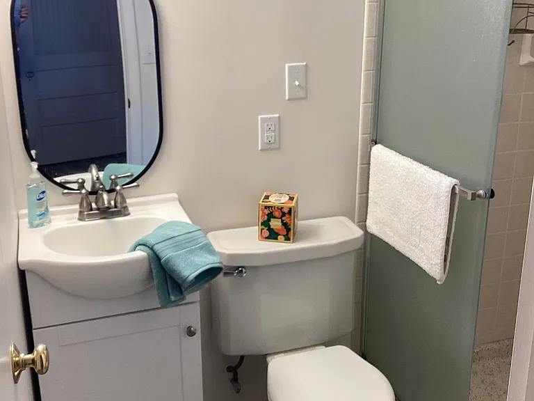 BASEMENT BATHROOM