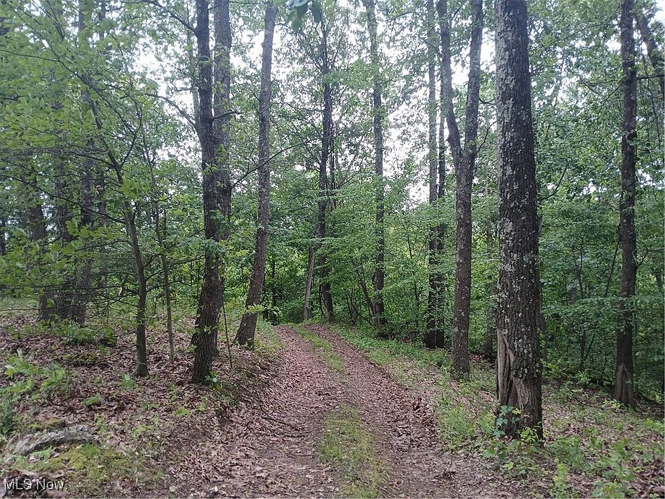 50th image of this home