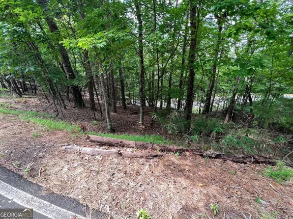 2086 Pacer Ct, Ellijay, GA 30540