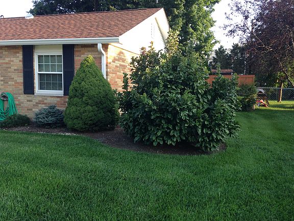 Beautiful Landscaping