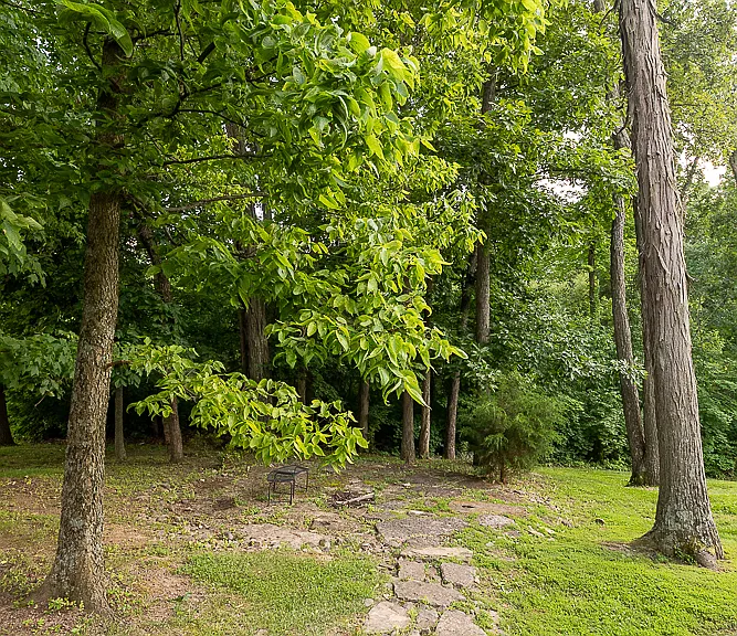 2059 Arbor Springs Blvd — Photo 31