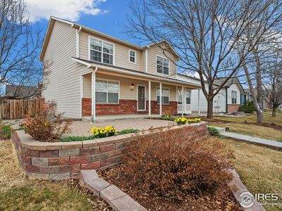 447 Lark Bunting Ave, Loveland, CO, 80537