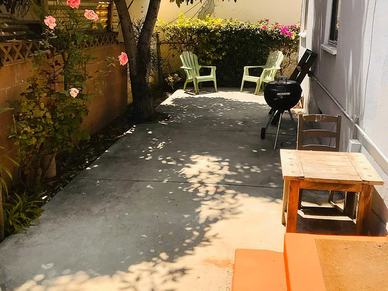 Backyard Patio with Avocado tree