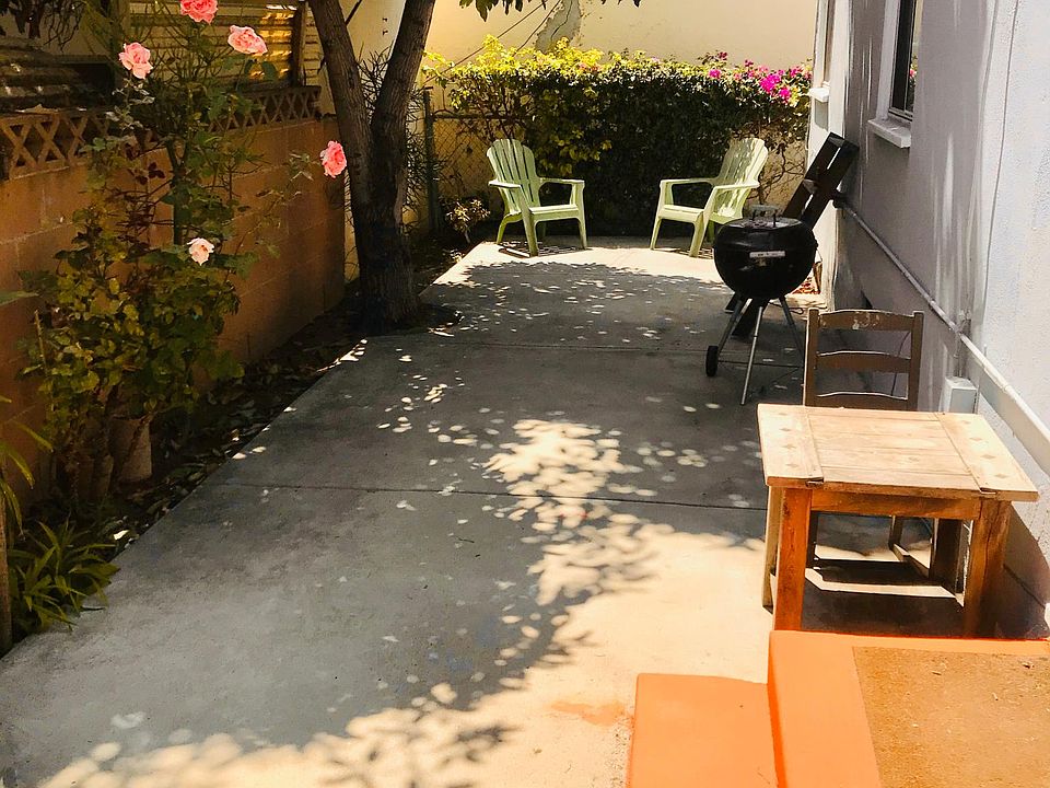 Backyard Patio with Avocado tree