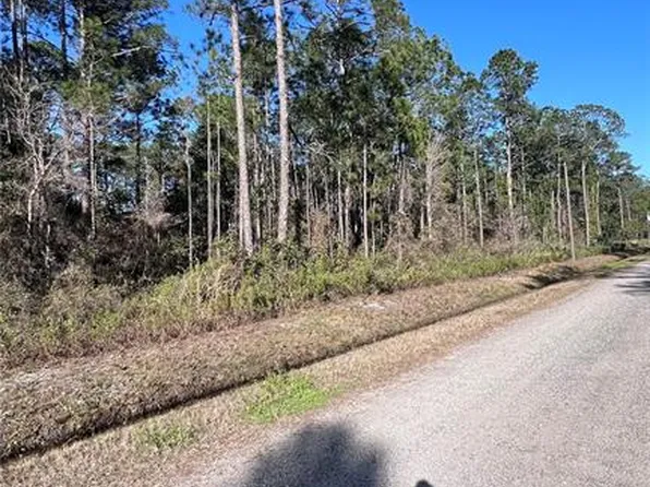 4220 Theresa St, Hastings, FL 32145