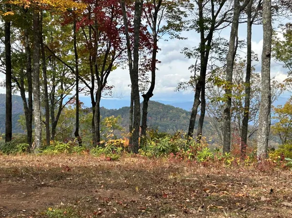 465 Forest Run Rd, Whittier, NC 28789