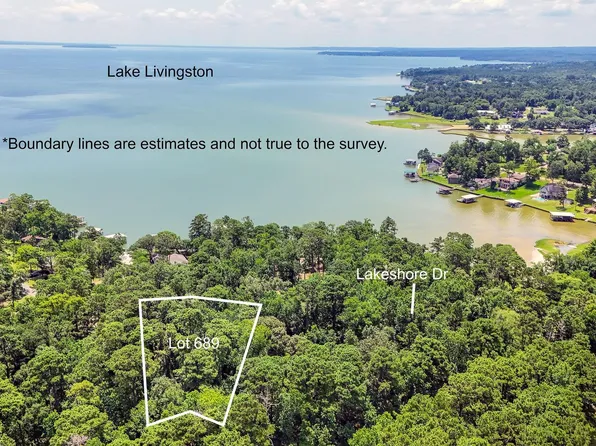 Lakeshore Black Walniut Dr, Coldspring, TX 77331