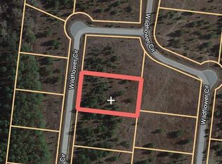 887 Wildflower Cir #33, Metter, GA 30439