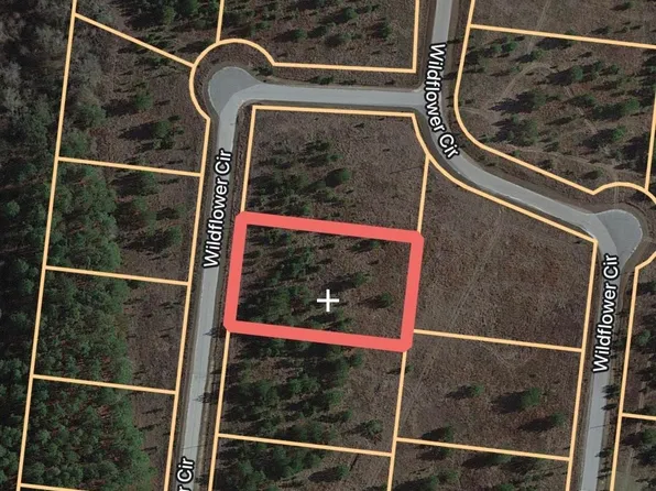 887 Wildflower Cir #33, Metter, GA 30439