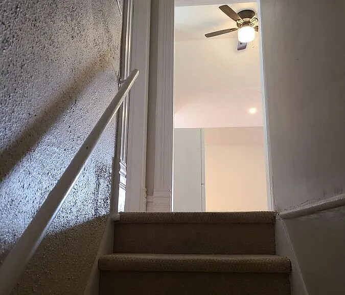 1331 Columbine St #2D — Photo 5