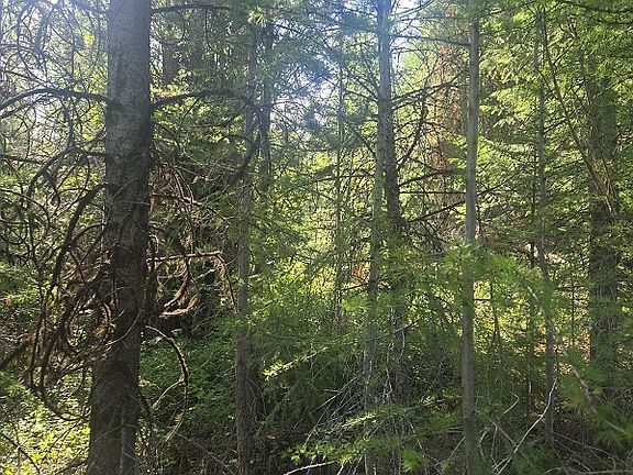 2nd image of LOT 17 Nine Mile Rd