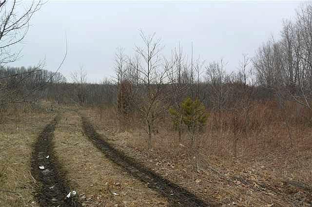 1st image of 29174 County Road 108