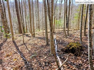 TBD Powder Horn Mountain Road, Deep Gap, NC 28618
