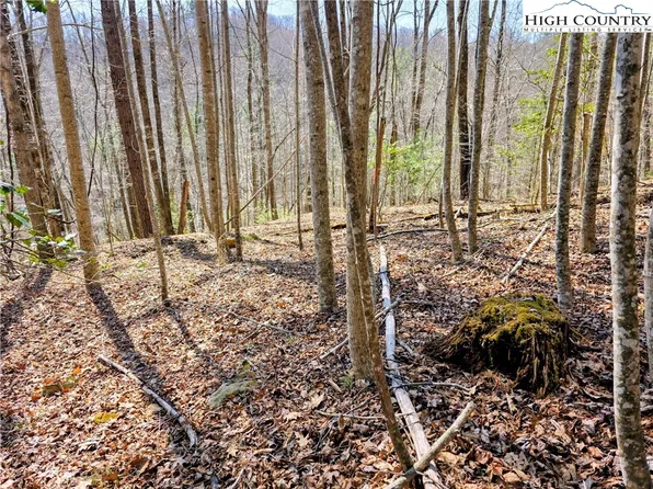 TBD Powder Horn Mountain Road, Deep Gap, NC 28618