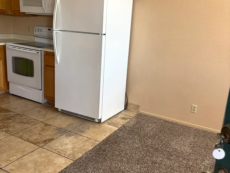 903 Mesquite Springs Dr #202 — Photo 7