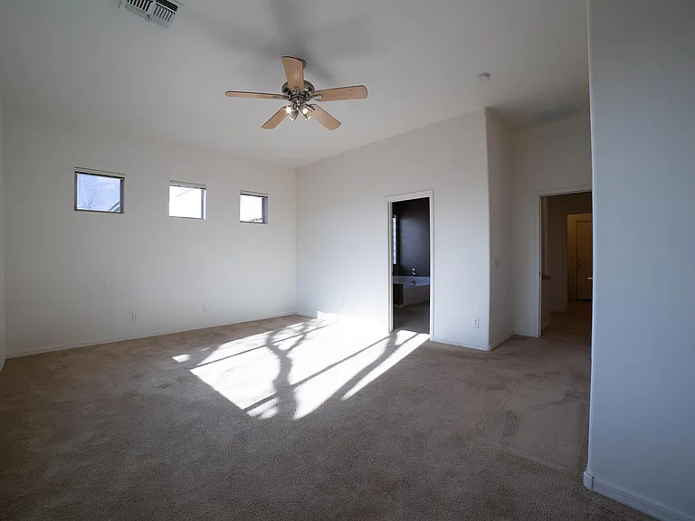 14976 S Camino Rio Puerco — Photo 11