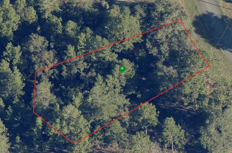 2nd image of 6664 N BUCKSKIN DRIVE LOT 5