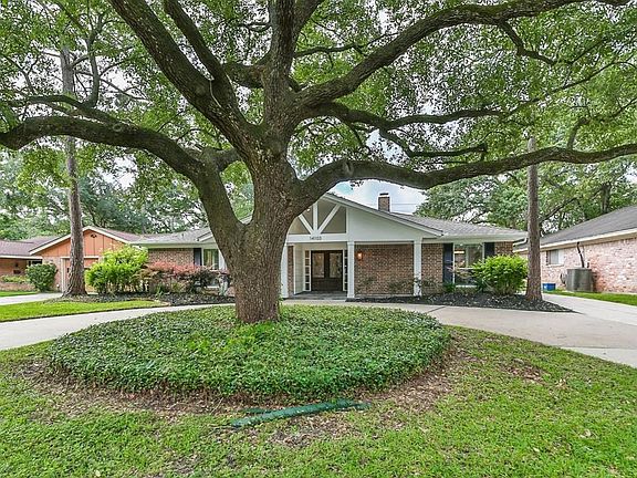 You're welcomed by this beautiful oak tree and circular driveway.