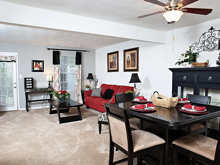 Living Room / Dining Area
