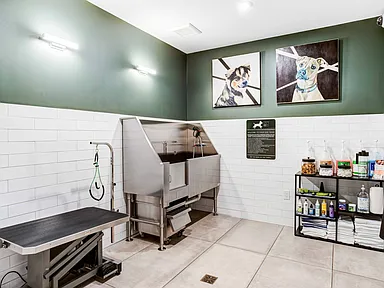 400 Rose 360 Virtual Tour