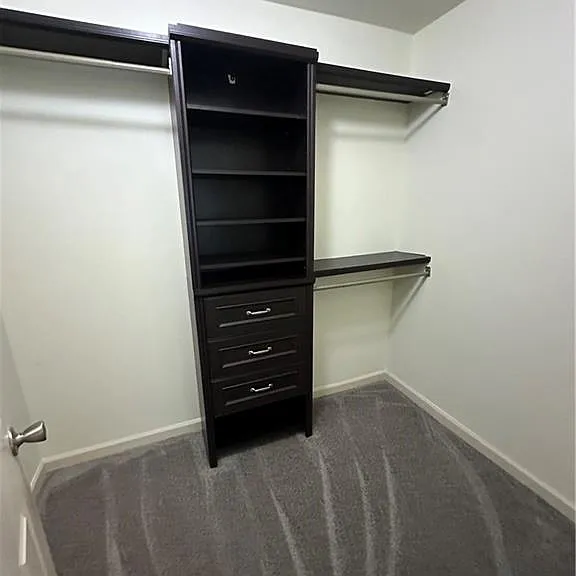 2941 Ashlyn Pointe Dr — Photo 10