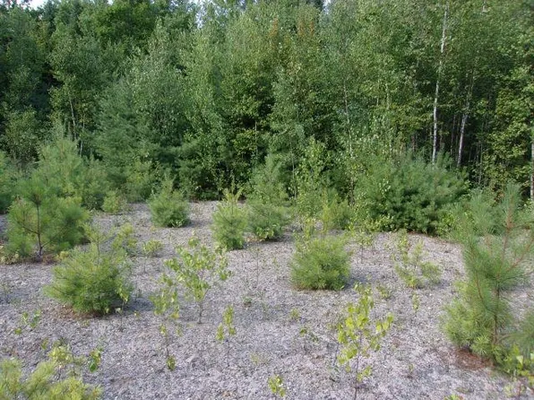 Fenn Way Circle #2, Bath, NH 03740
