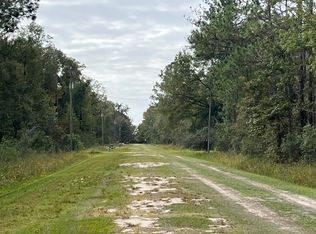 10230 Ruth Ave, Hastings, FL 32145