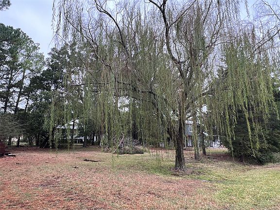 4th image of 221 Clayton Dr