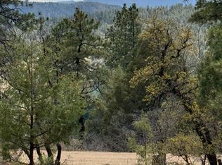 1035 View Rd, Pagosa Springs, CO 81147