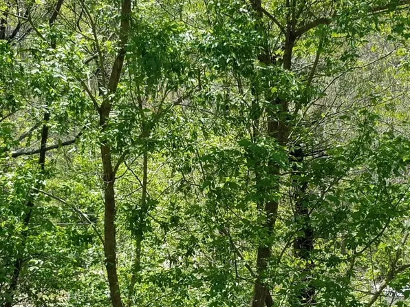 10431 Bent Mountain Rd, Bent Mountain, VA 24059