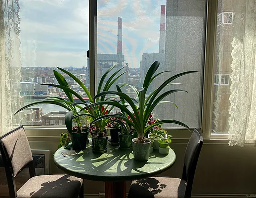 Sold by Compass | media 6